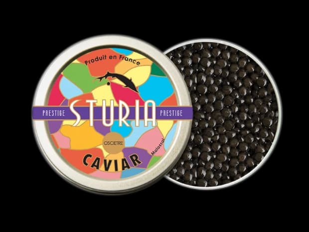 Caviar Osciètre